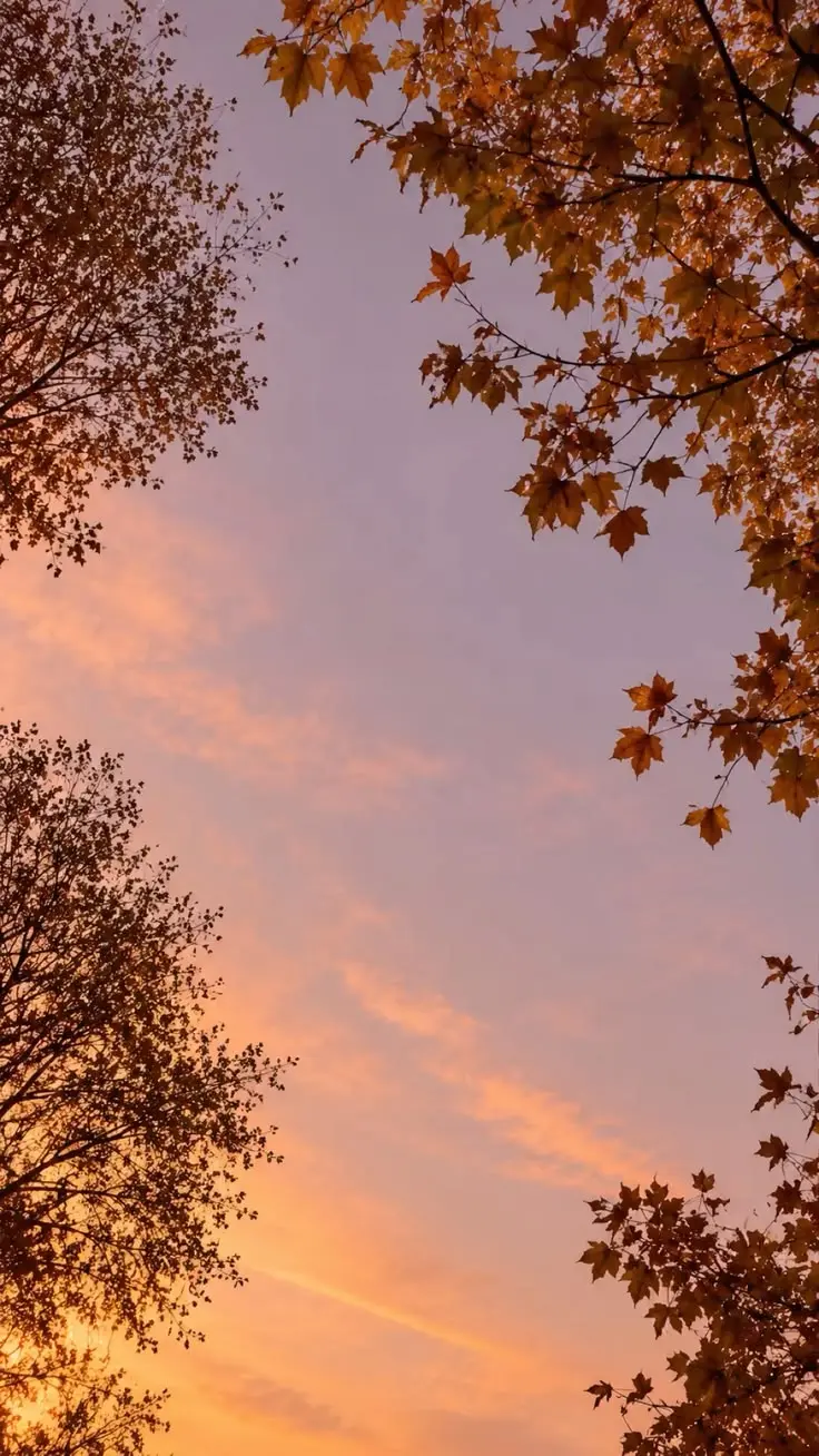 Feuilles aux couleurs d’automne pendant les vacances de la Toussaint